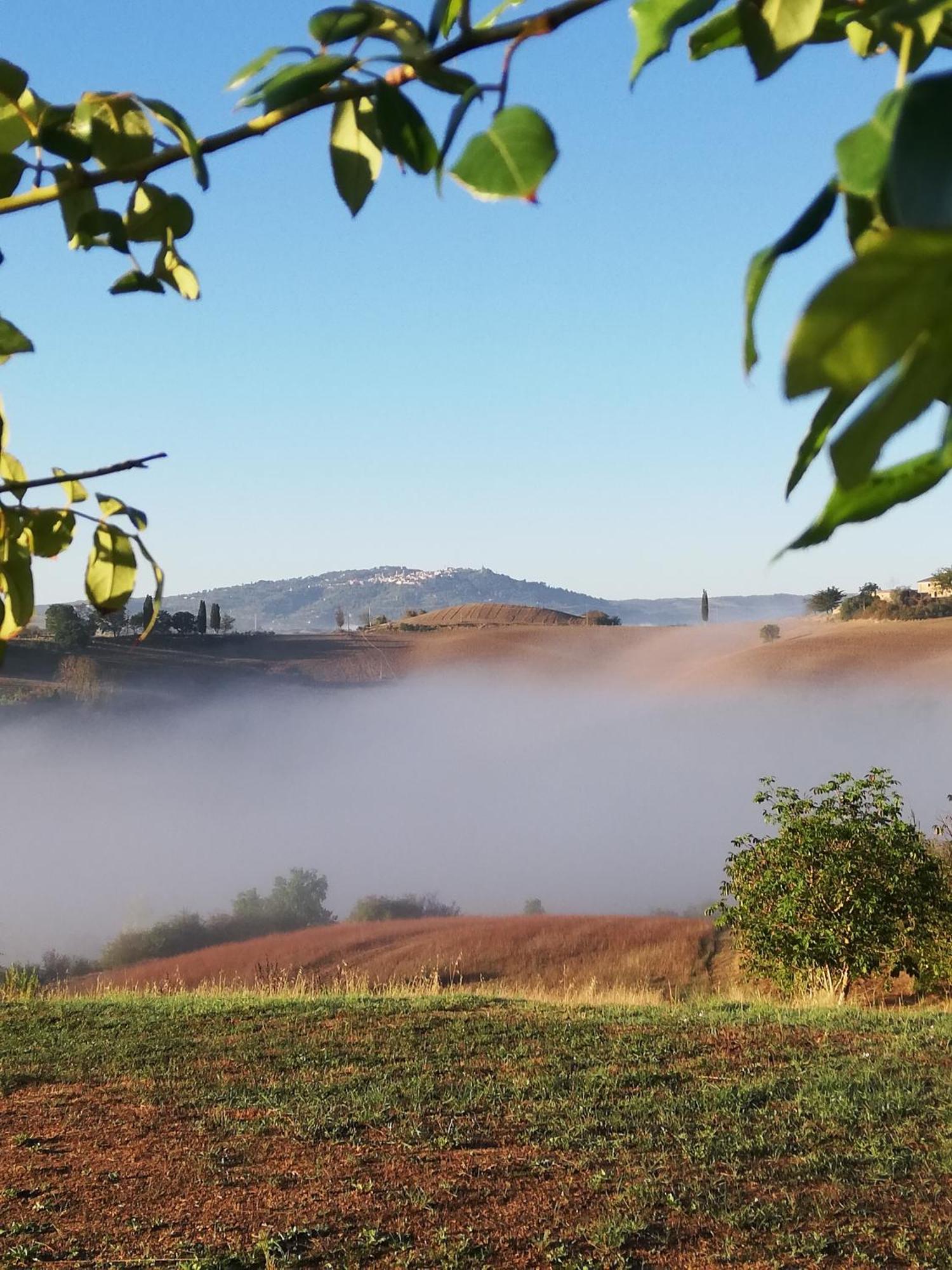Podere Sant'Antonio Buonconvento Exterior photo